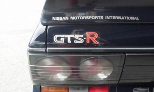 Nissan Skyline R31 GTS-R badges and decals (2).JPG