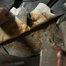 1964 Studebaker Daytona Hagerty auction 2024 convertible (2).jpeg