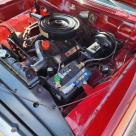 1965 Studebaker Daytona White on Red for sale 2025 (7).jpg
