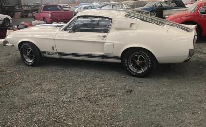 1967 Ford Mustang GT500 Shelby white original unrestored (3).jpg